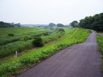 運河、利根川方向