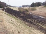 利根運河の焼け跡